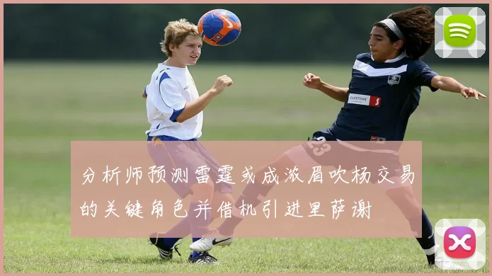 分析师预测雷霆或成浓眉吹杨交易的关键角色并借机引进里萨谢