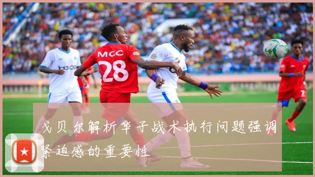 戈贝尔解析华子战术执行问题强调紧迫感的重要性