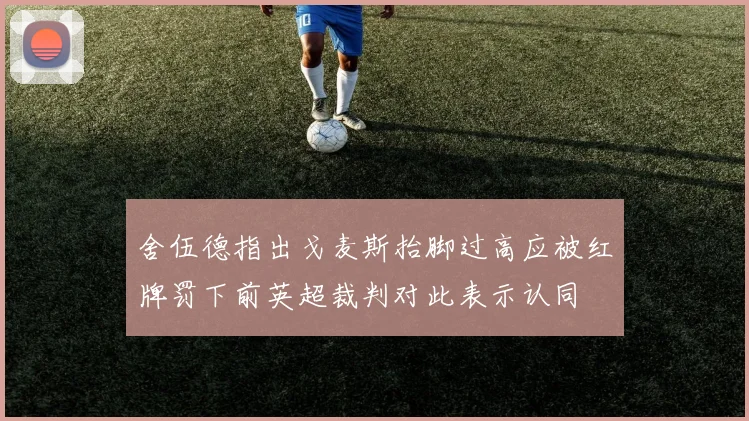 舍伍德指出戈麦斯抬脚过高应被红牌罚下前英超裁判对此表示认同