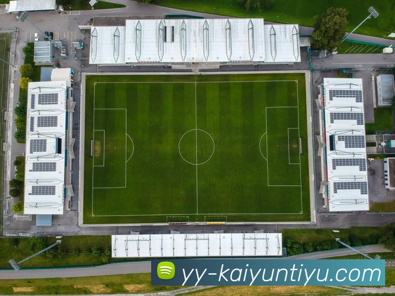 开云体育平台生态图