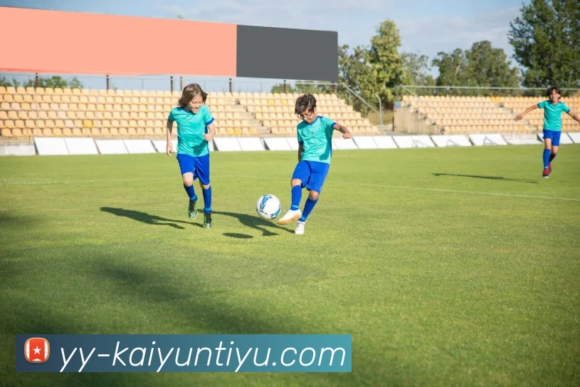 开云体育APP 封面图